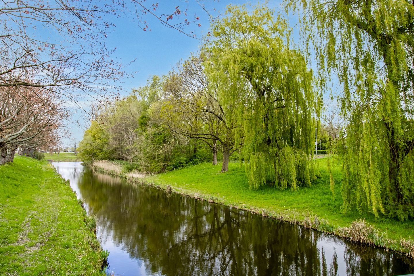 Foto 35 van Burgemeester Hazenberglaan 43