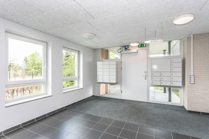 Foto 3 van Olympiade 8