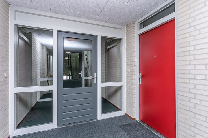 Foto 5 van Olympiade 8