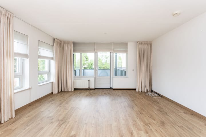 Foto 11 van Olympiade 8