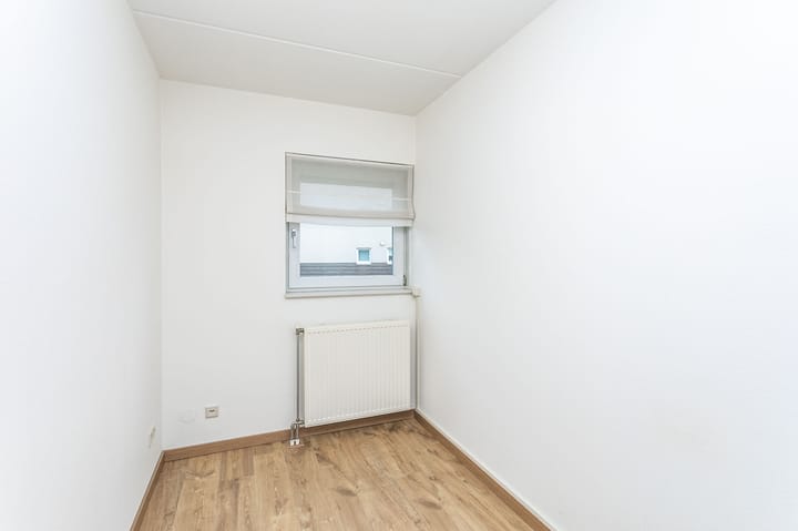 Foto 16 van Olympiade 8