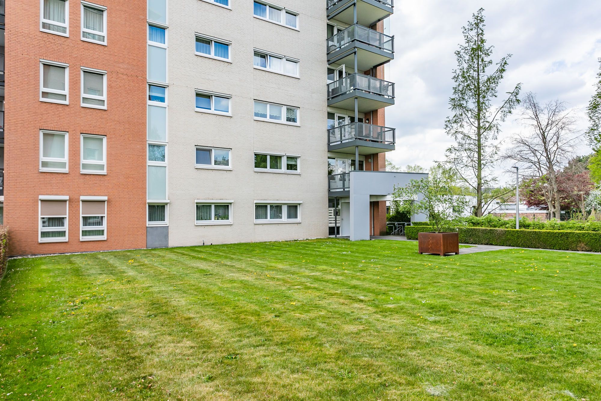 Foto 24 van Olympiade 8