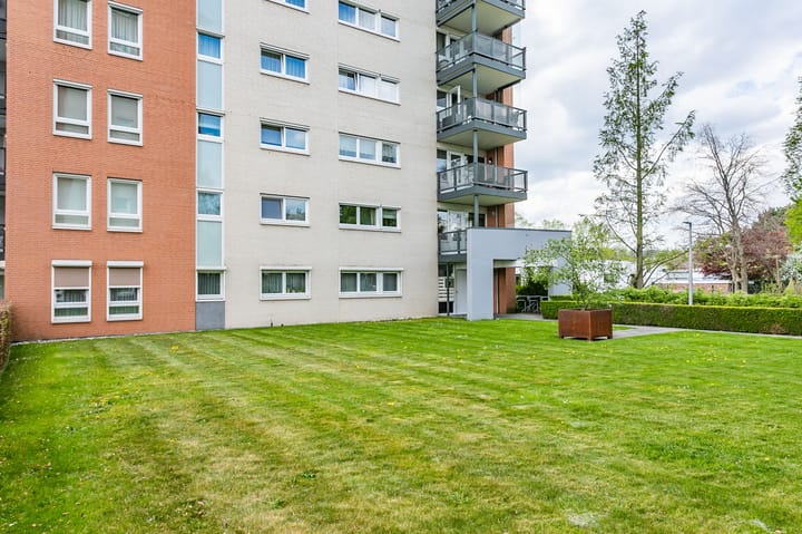 Foto 24 van Olympiade 8