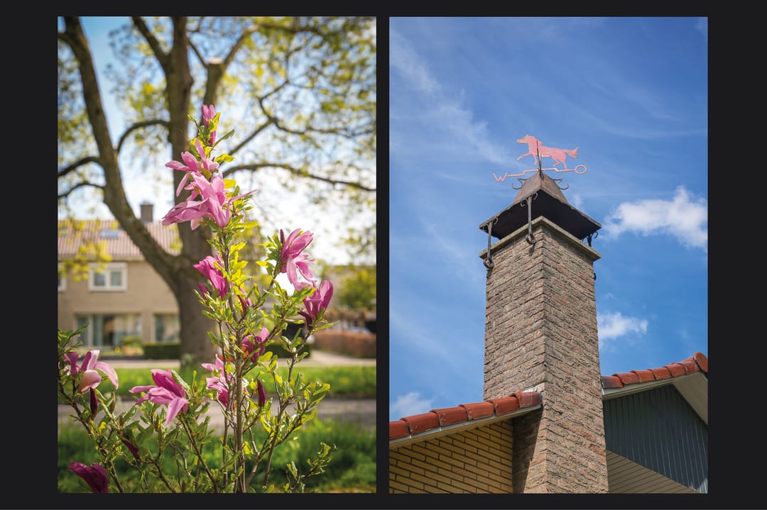 Foto 46 van Julianalaan 66