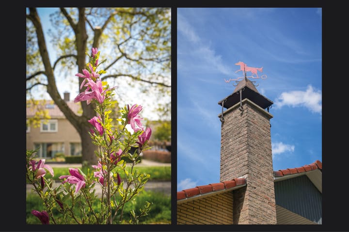 Foto 46 van Julianalaan 66