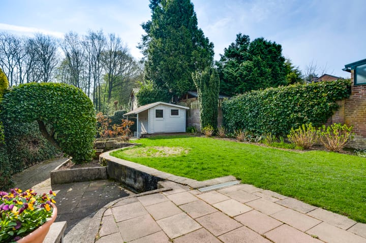 Photo 3 of Adriaen Brouwerstraat 16