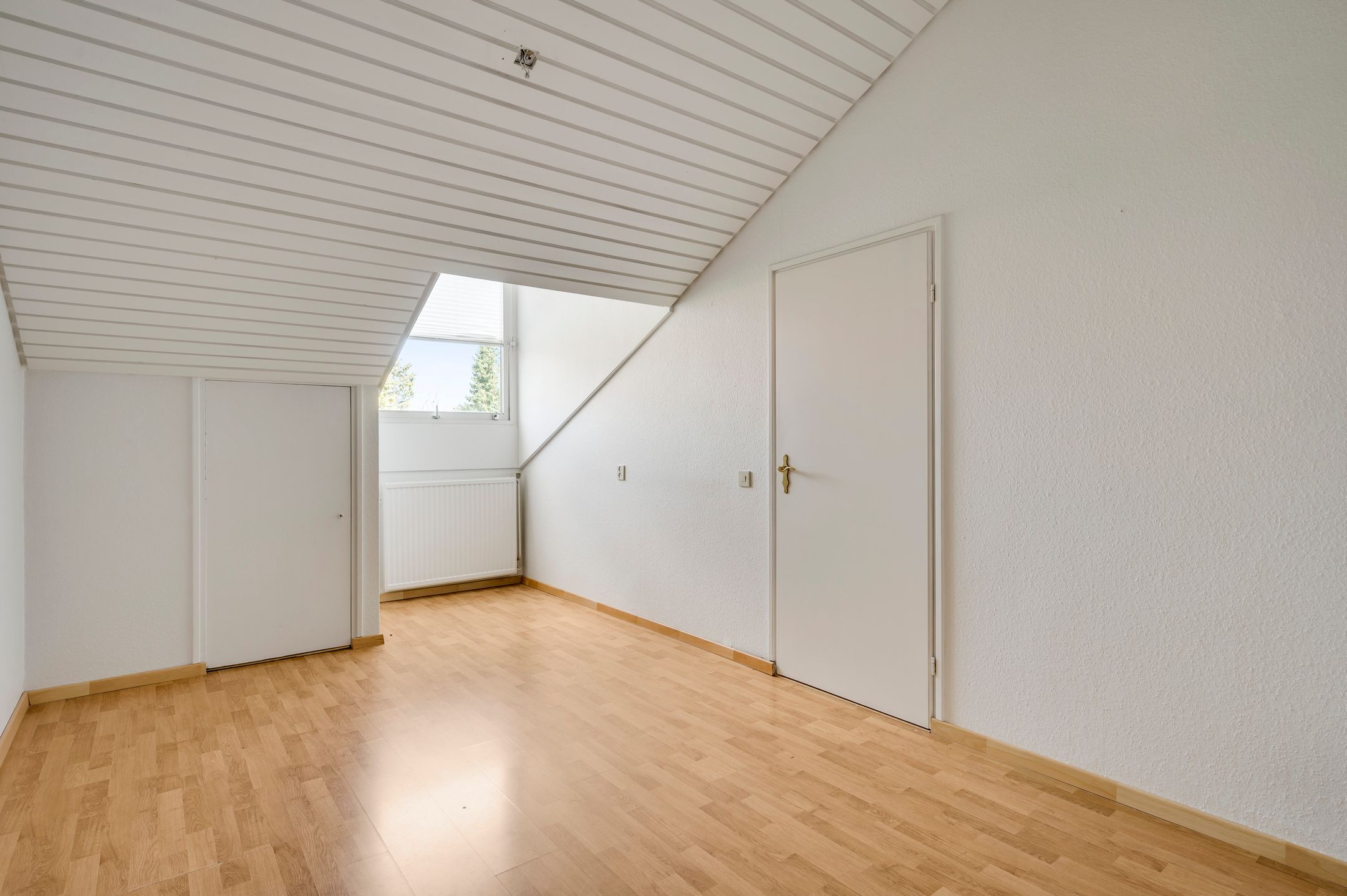 Photo 12 of Adriaen Brouwerstraat 16