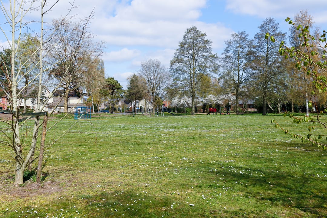 Photo 2 of Vederkruid 7