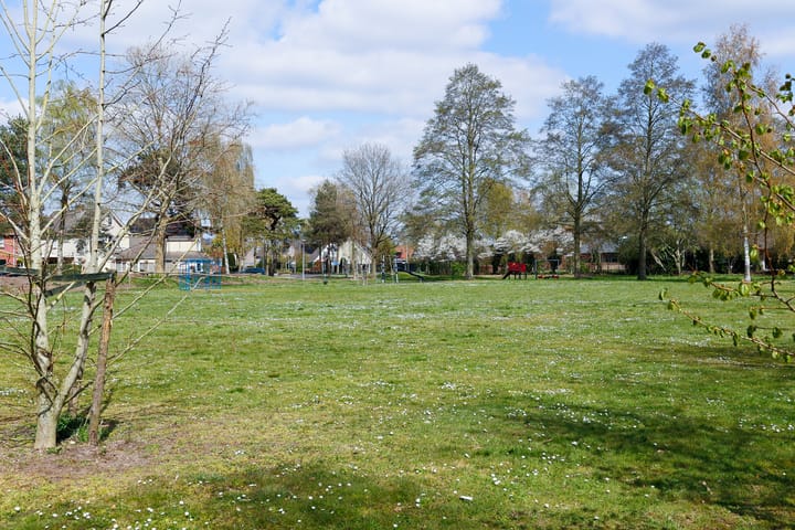 Foto 2 van Vederkruid 7