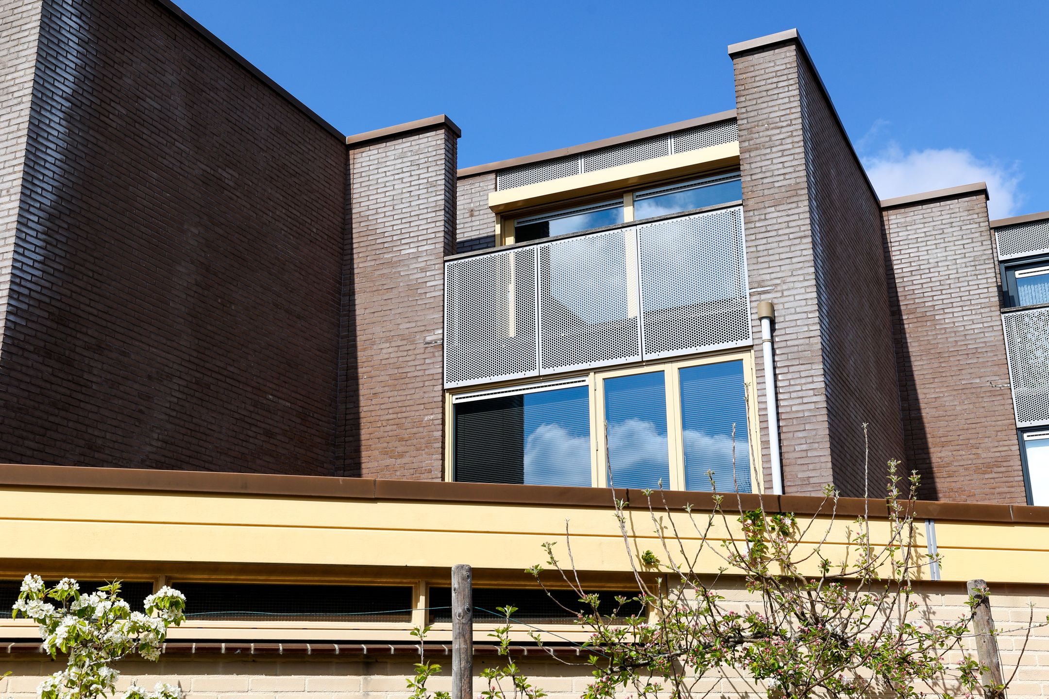 Photo 3 of Vederkruid 7