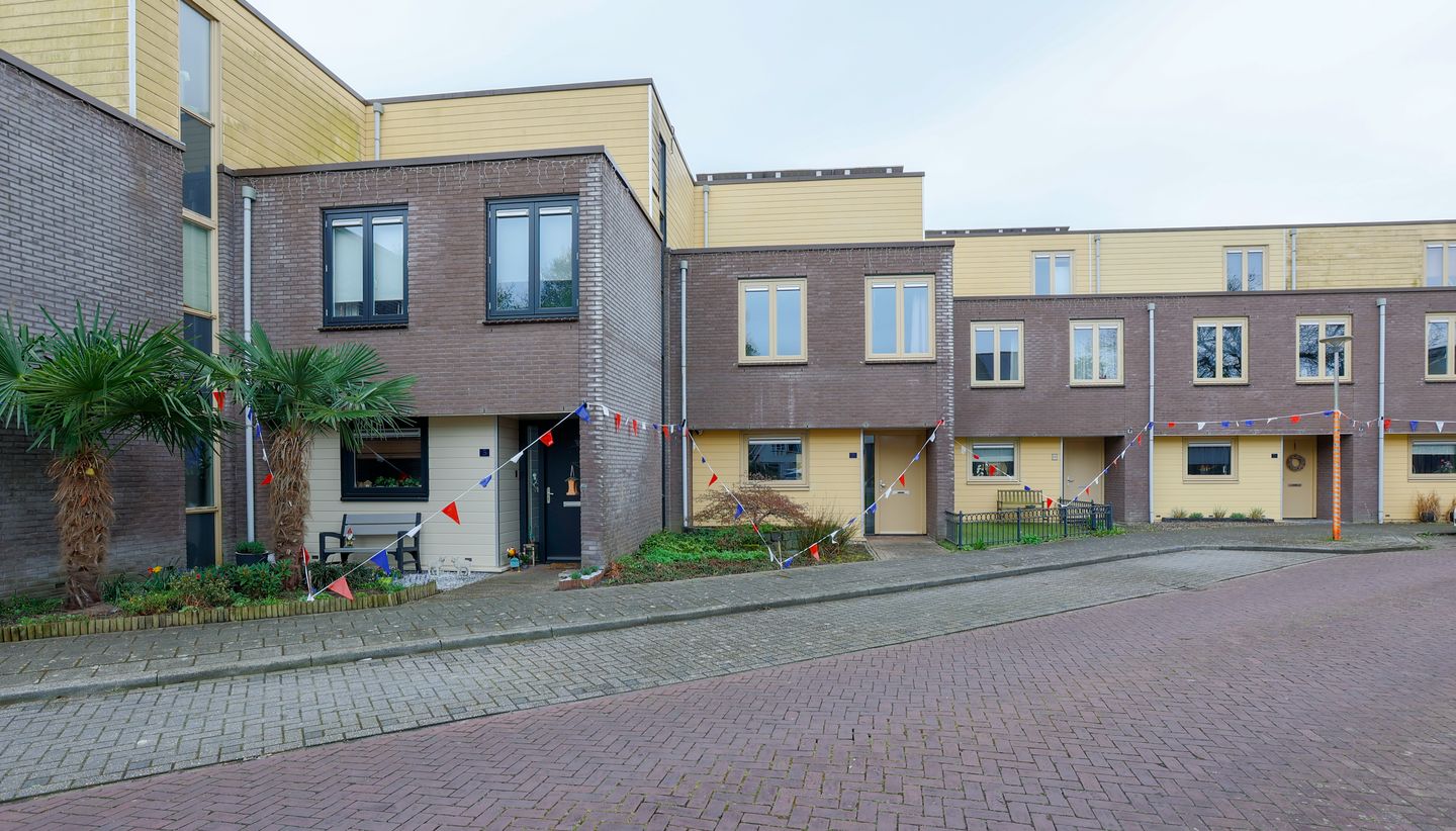 Photo 5 of Vederkruid 7