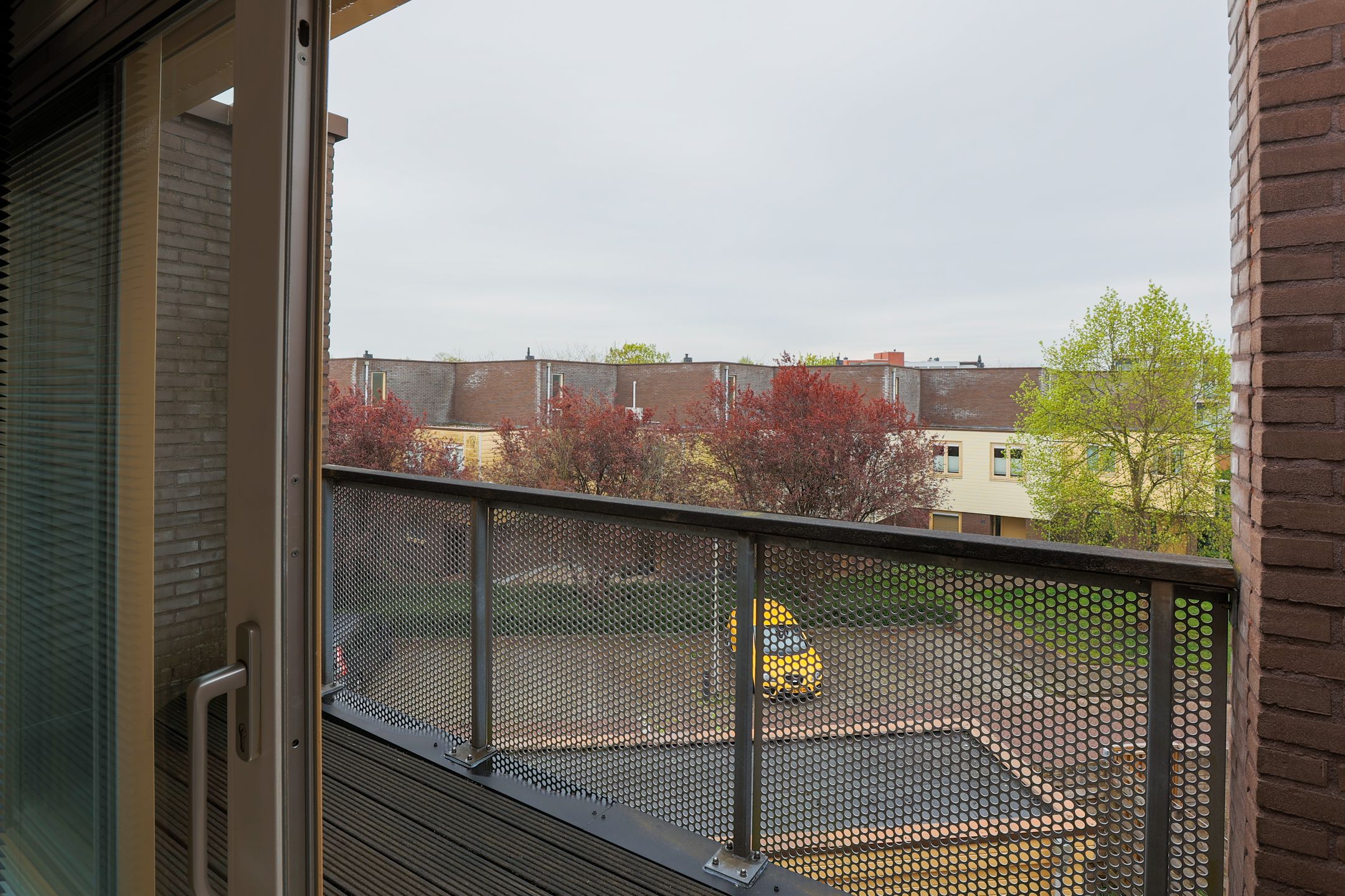 Photo 27 of Vederkruid 7