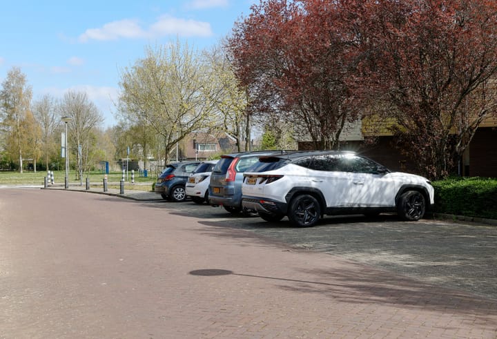 Foto 31 van Vederkruid 7