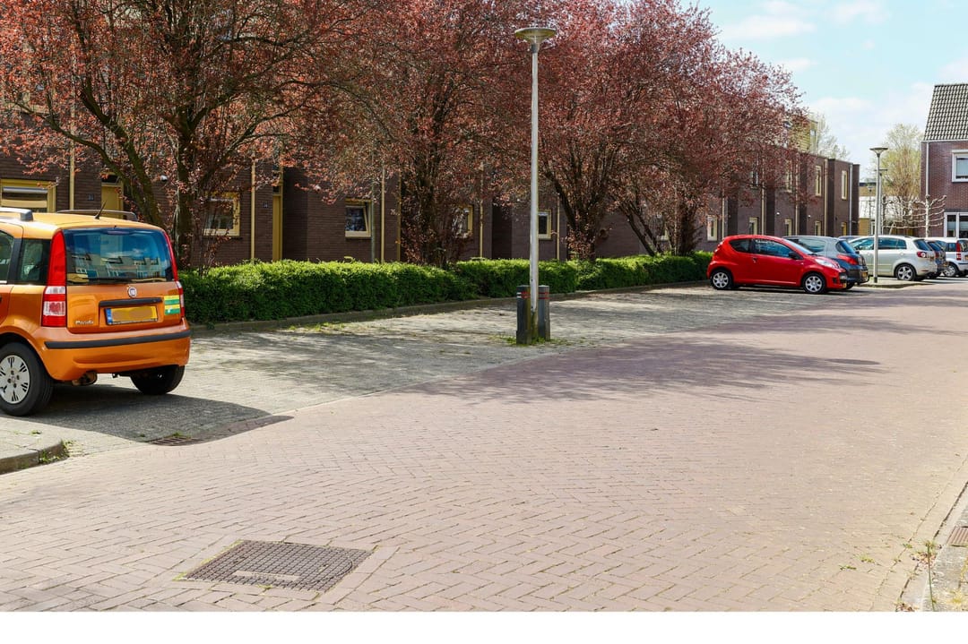 Photo 32 of Vederkruid 7