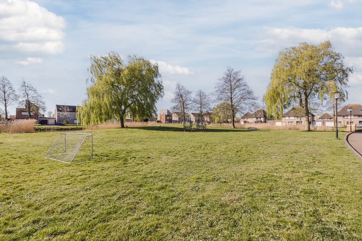 Foto 36 van Robijnboog 6