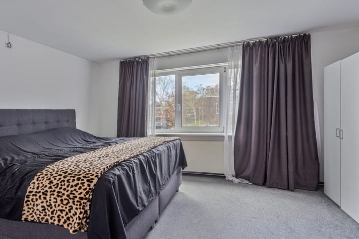 Foto 19 van Linnaeusstraat 92