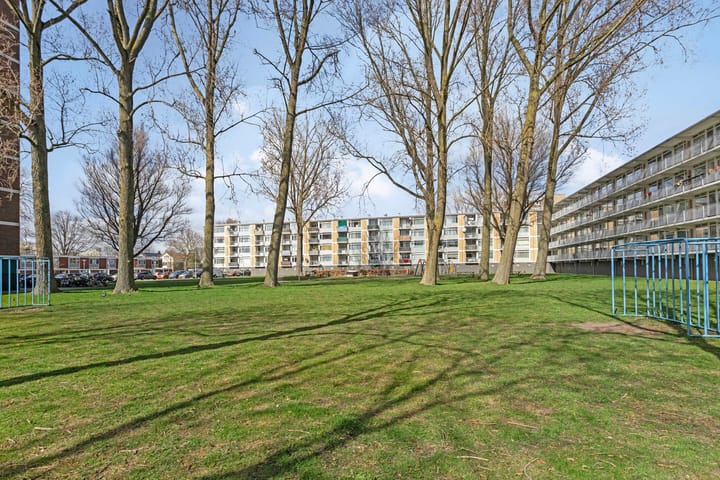 Foto 33 van Linnaeusstraat 92