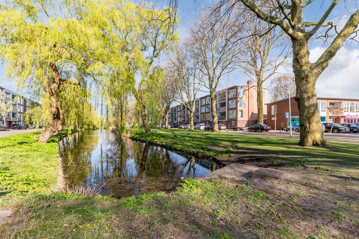 Foto 41 van Dennestraat 44