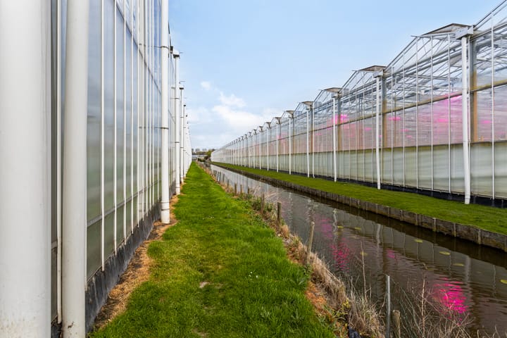 Foto 66 van Vredebestlaan 52