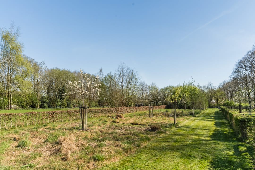 Foto 43 van Meerven 12-A