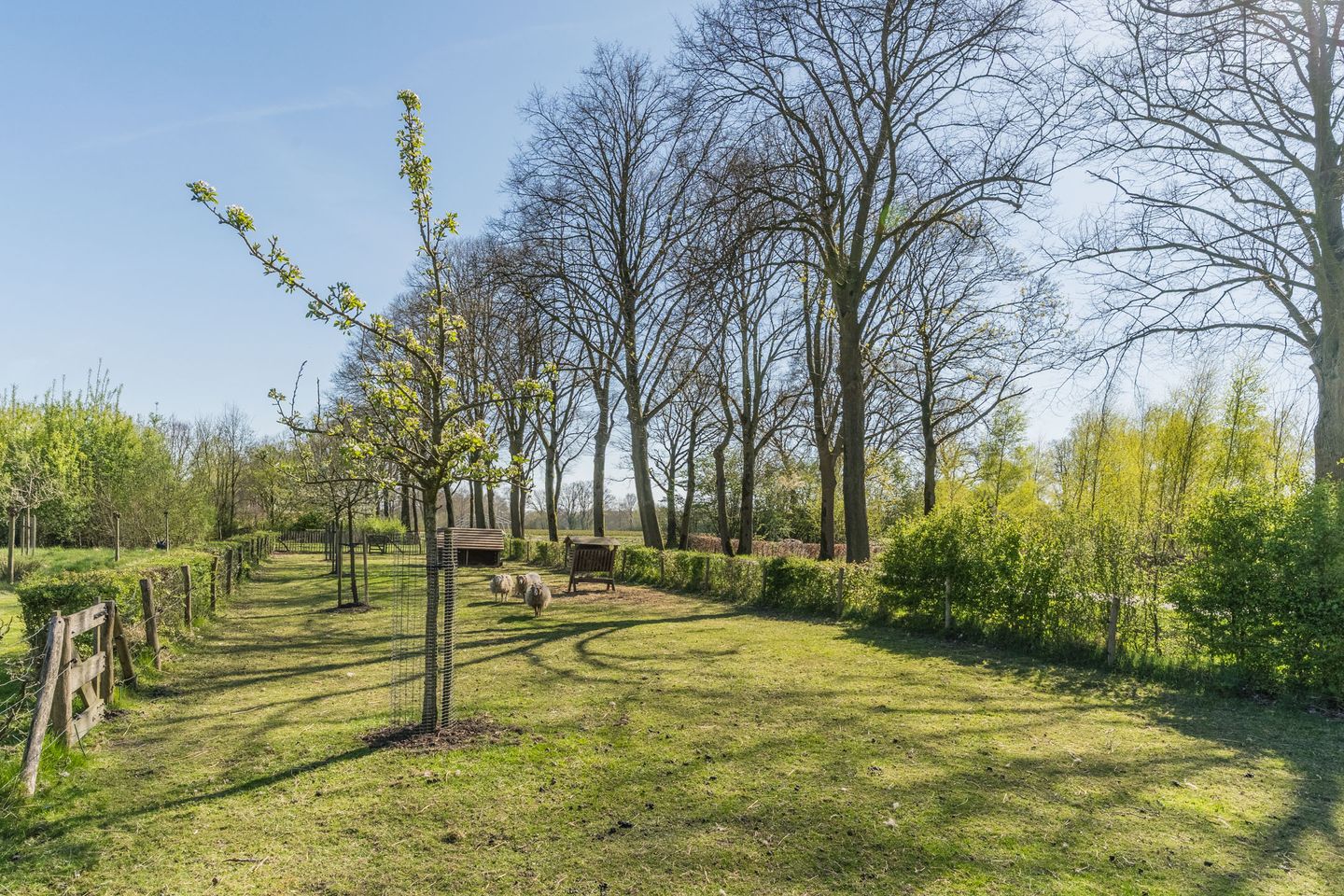 Foto 44 van Meerven 12-A