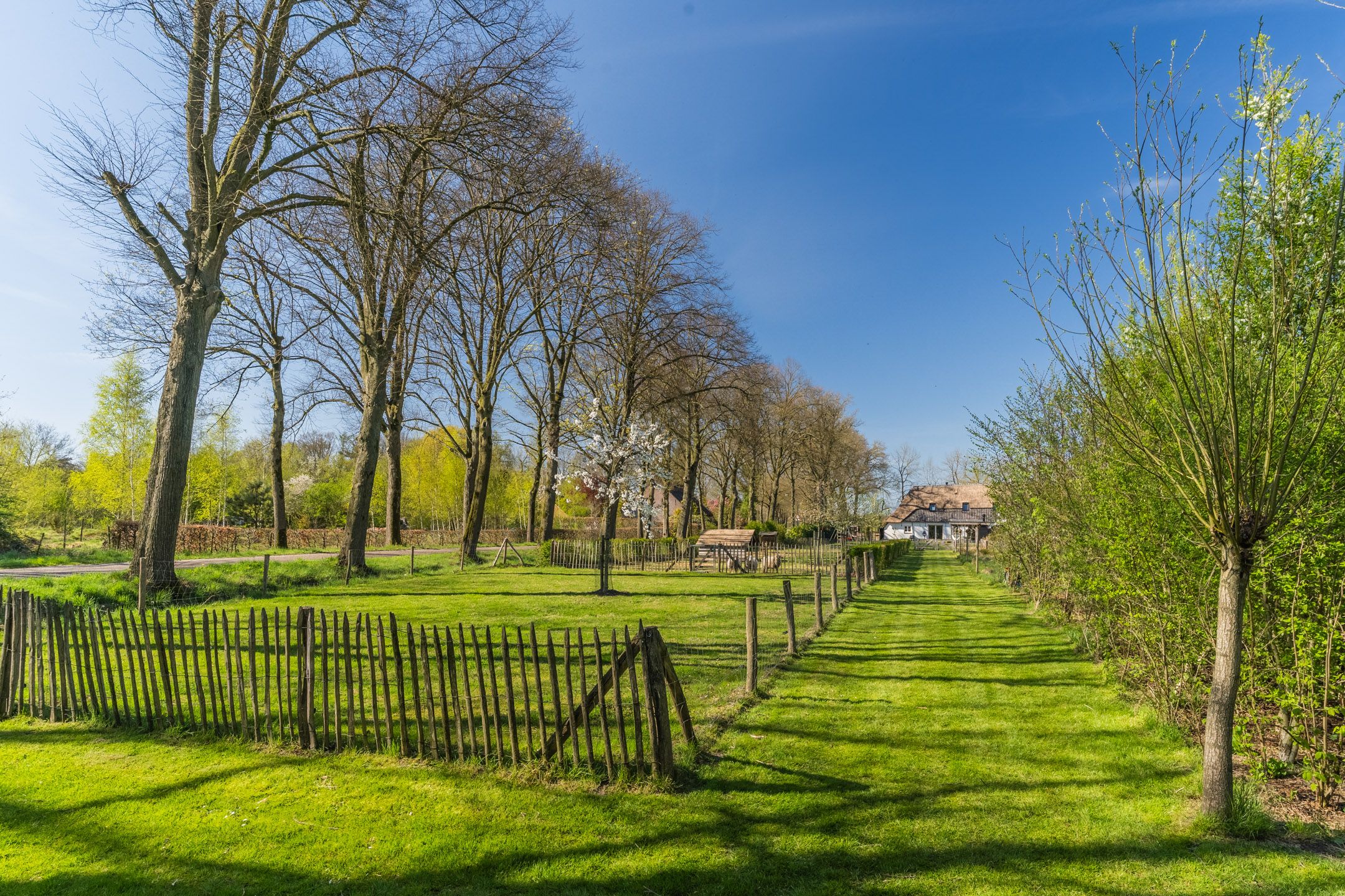 Foto 48 van Meerven 12-A