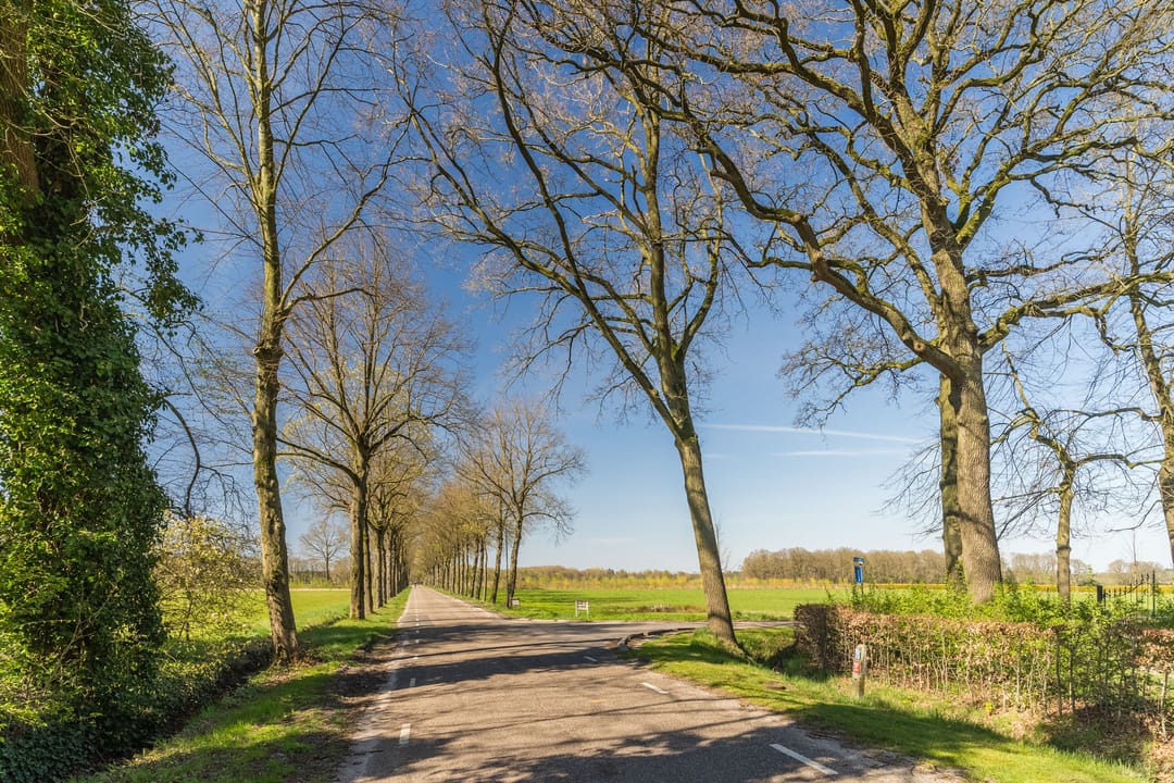 Foto 71 van Meerven 12-A