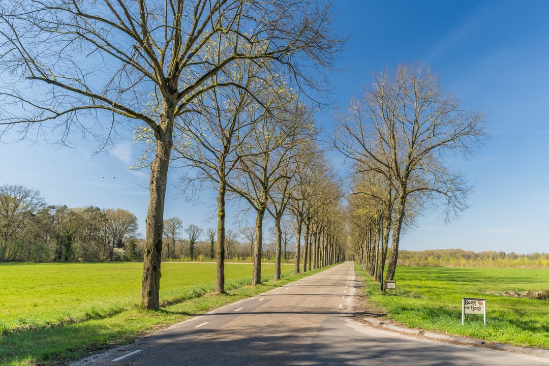 Foto 73 van Meerven 12-A