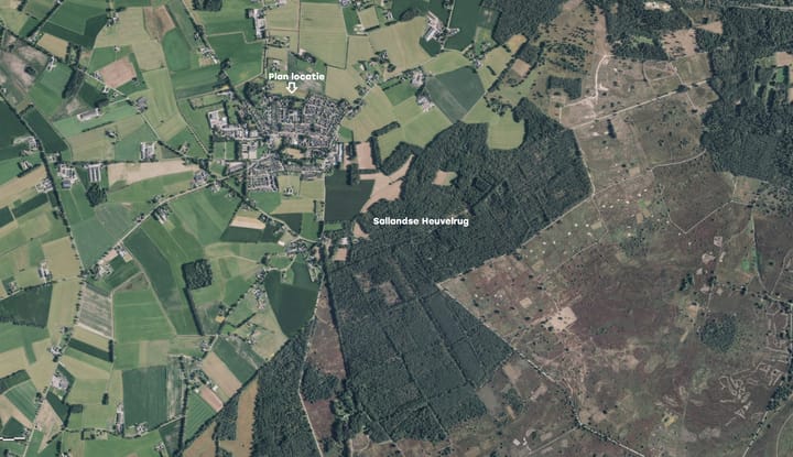 Photo 18 of De Grave - Kavel 52