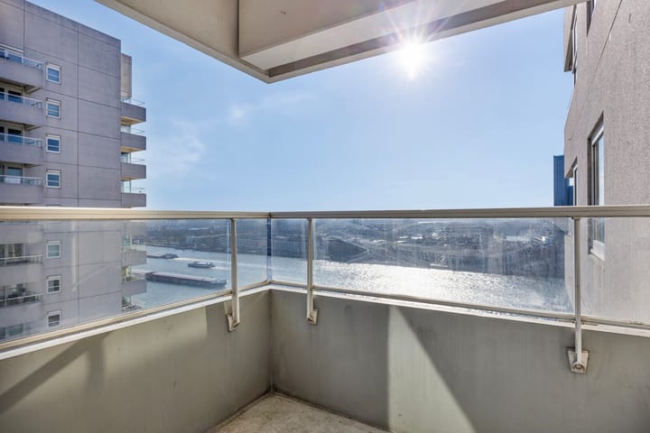 Foto 1 van Boompjes 499