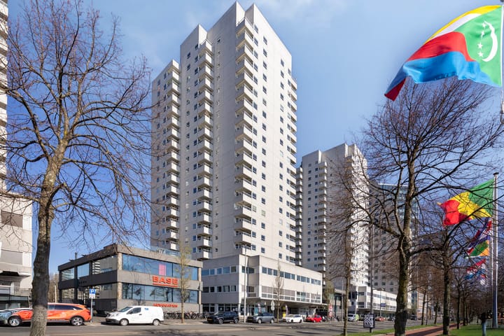 Foto 4 van Boompjes 499