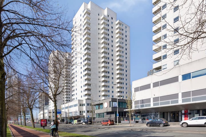 Foto 24 van Boompjes 499