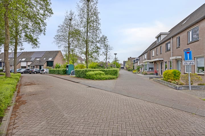 Foto 6 van Olmenpad 16