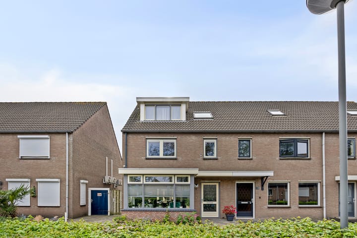 Foto 7 van Olmenpad 16