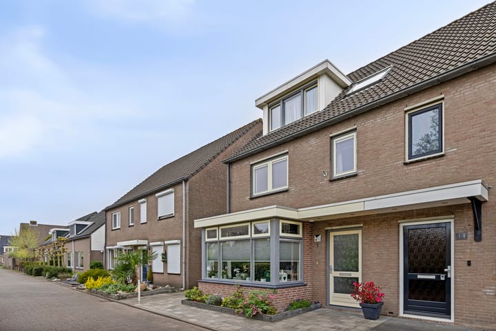 Foto 8 van Olmenpad 16