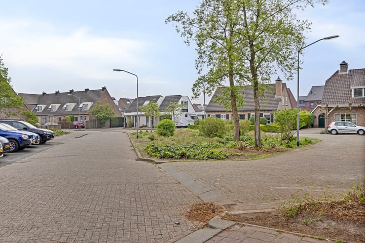 Foto 57 van Olmenpad 16