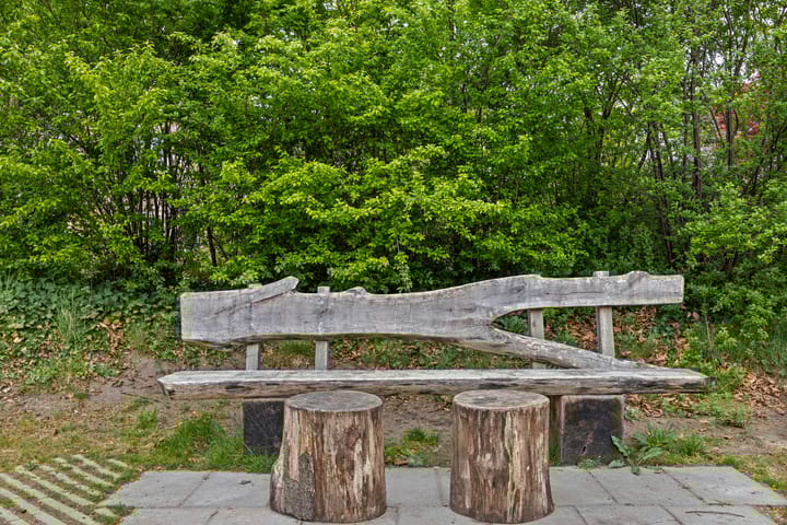 Foto 56 van Olmenpad 16