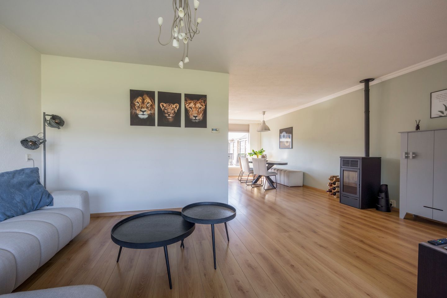 Photo 19 of De Steenkamp 5