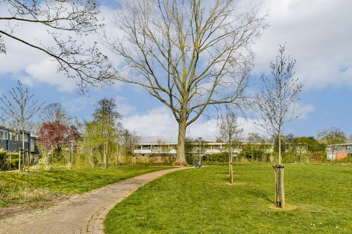 Foto 35 van Bieslook 96