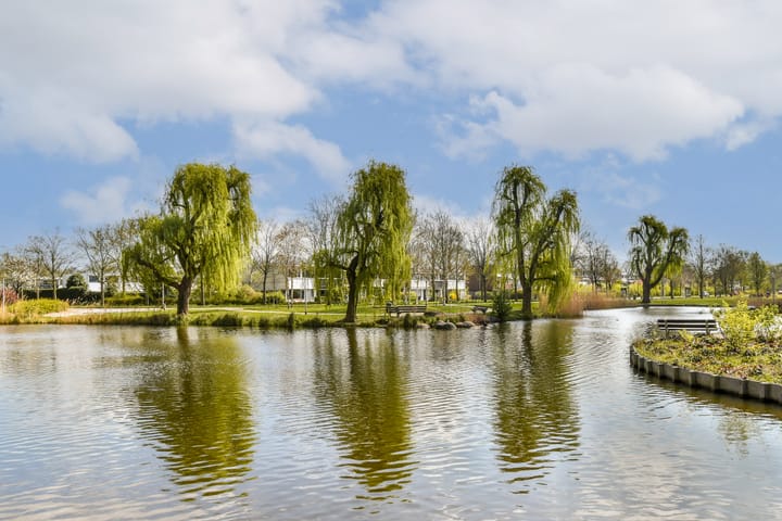 Foto 36 van Bieslook 96