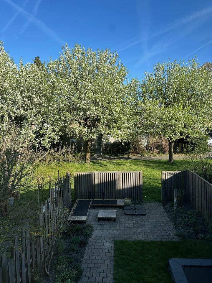 Photo 18 of John F. Kennedyplantsoen 57