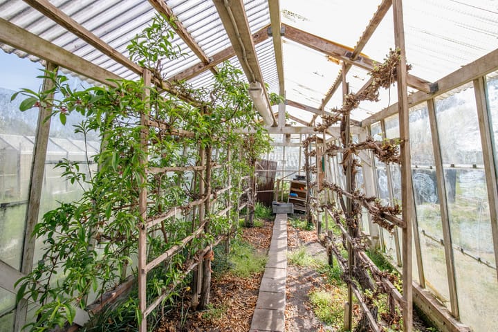 Foto 40 van Tiendweg 9