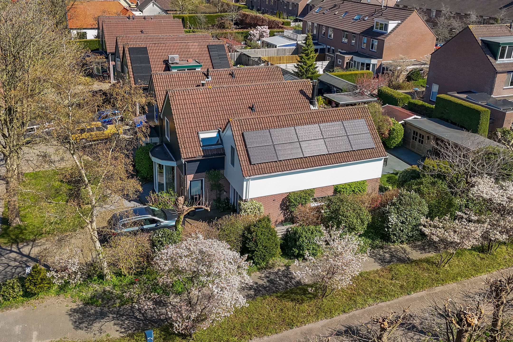 Photo 39 of Koewijzend 24-F