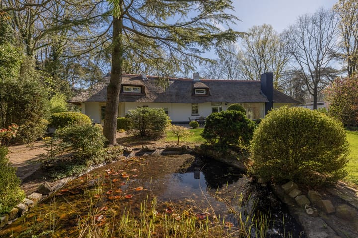 Foto 16 van Larikslaan 1