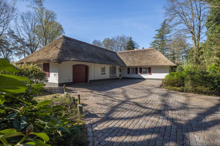 Foto 19 van Larikslaan 1