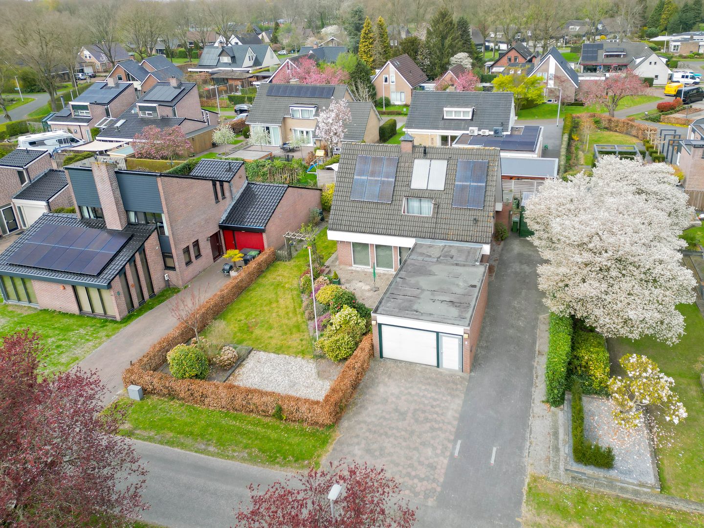 Photo 44 of Fromaborg 5