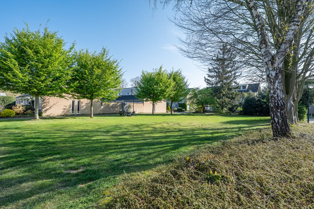 Foto 8 van Apollo 17