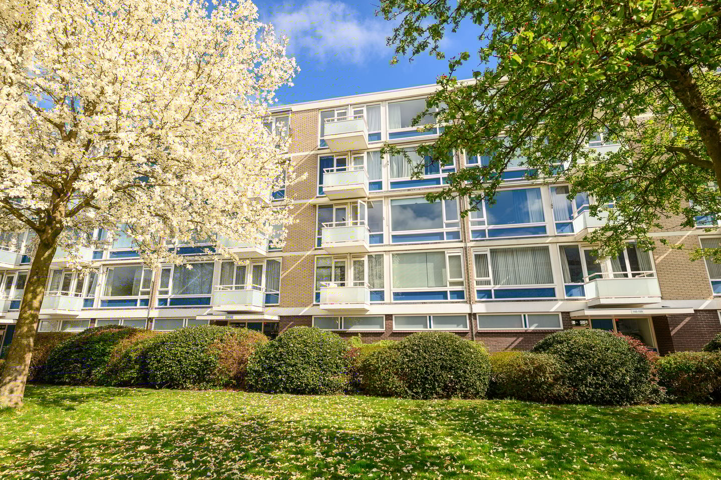 Foto 1 van Schout Van Eijklaan 141