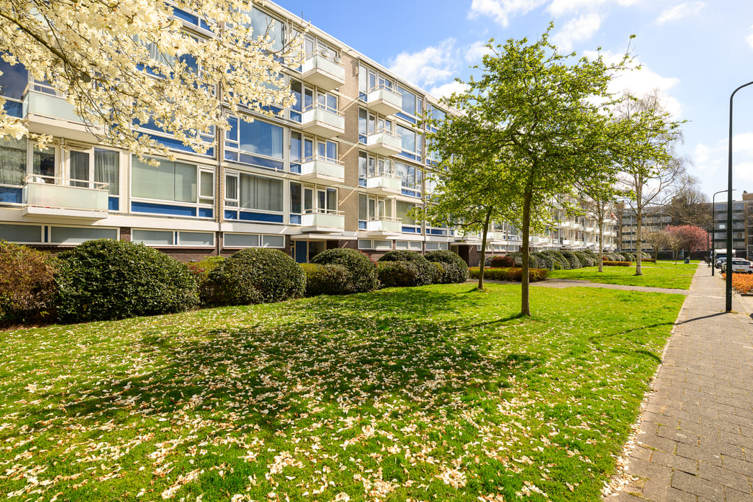 Foto 2 van Schout Van Eijklaan 141