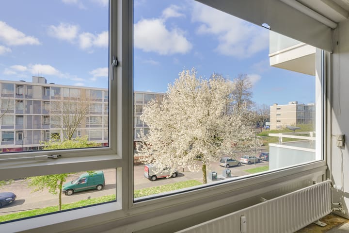 Foto 10 van Schout Van Eijklaan 141